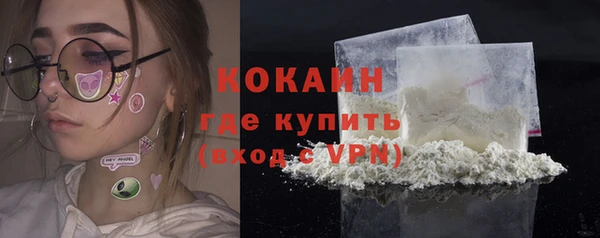 эйфоретик Арсеньев