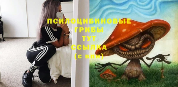 a pvp Армянск