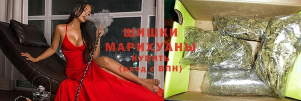 эйфоретик Арсеньев