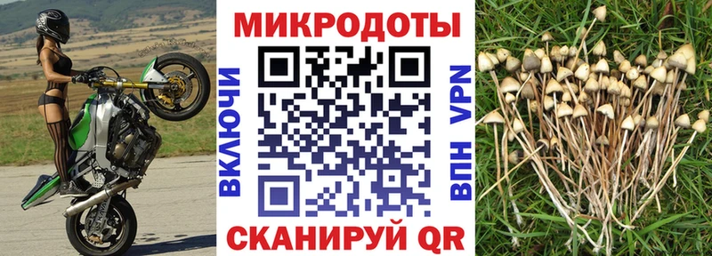 Купить  Нефтекумск  Псилоцибиновые грибы ЛСД 